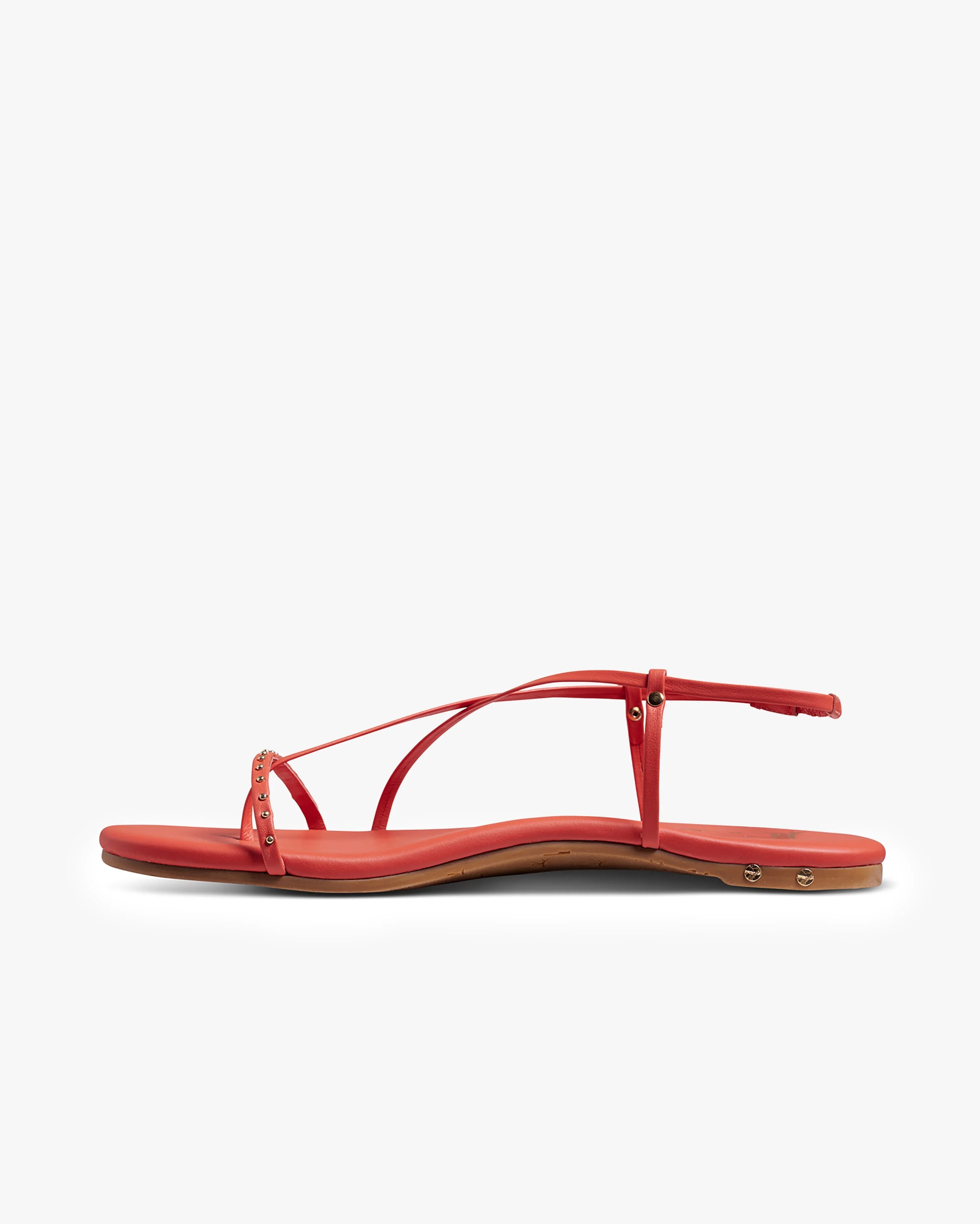 BITSYBIRD - Tomato - Image 4