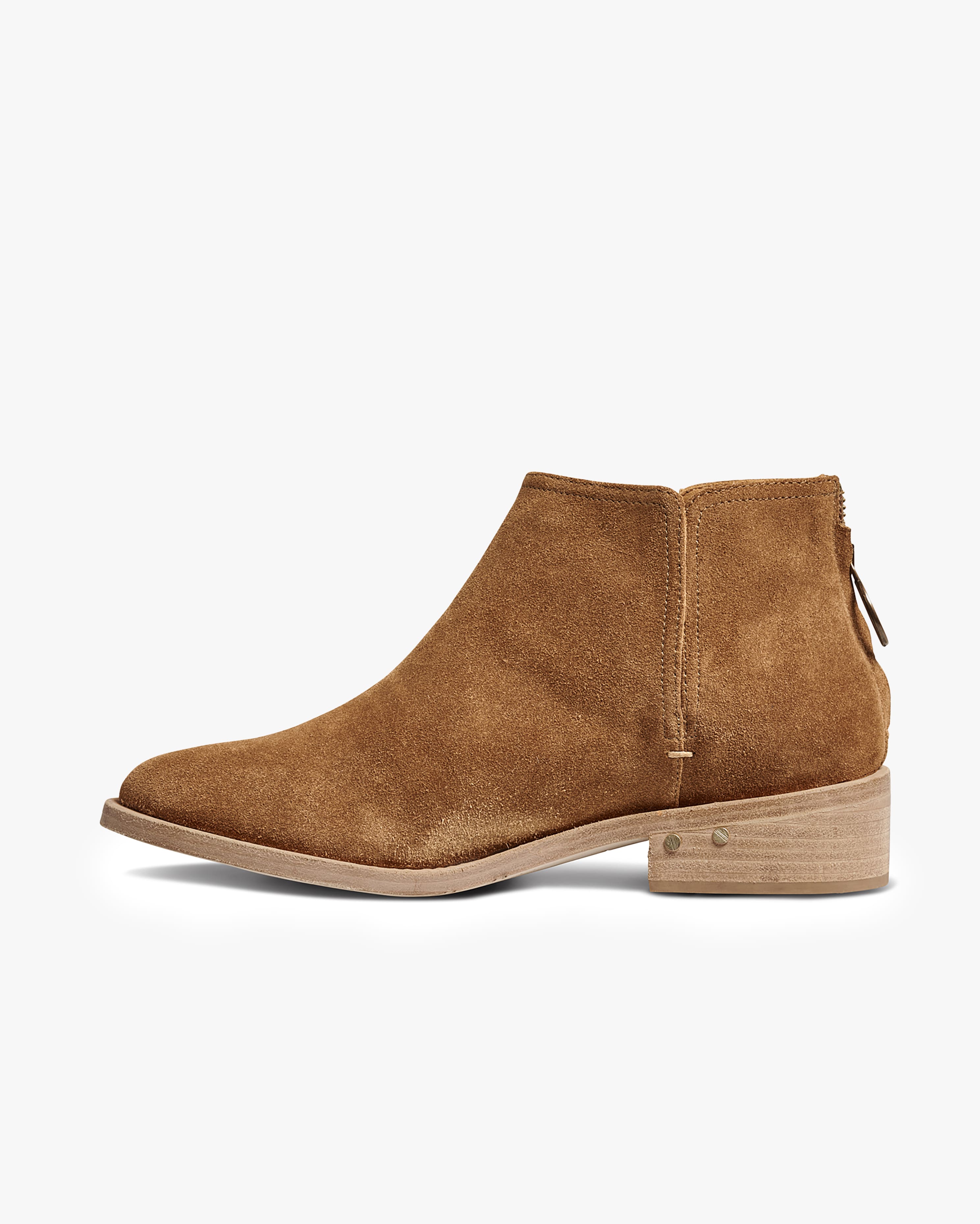 FALCON - Chestnut - Image 3