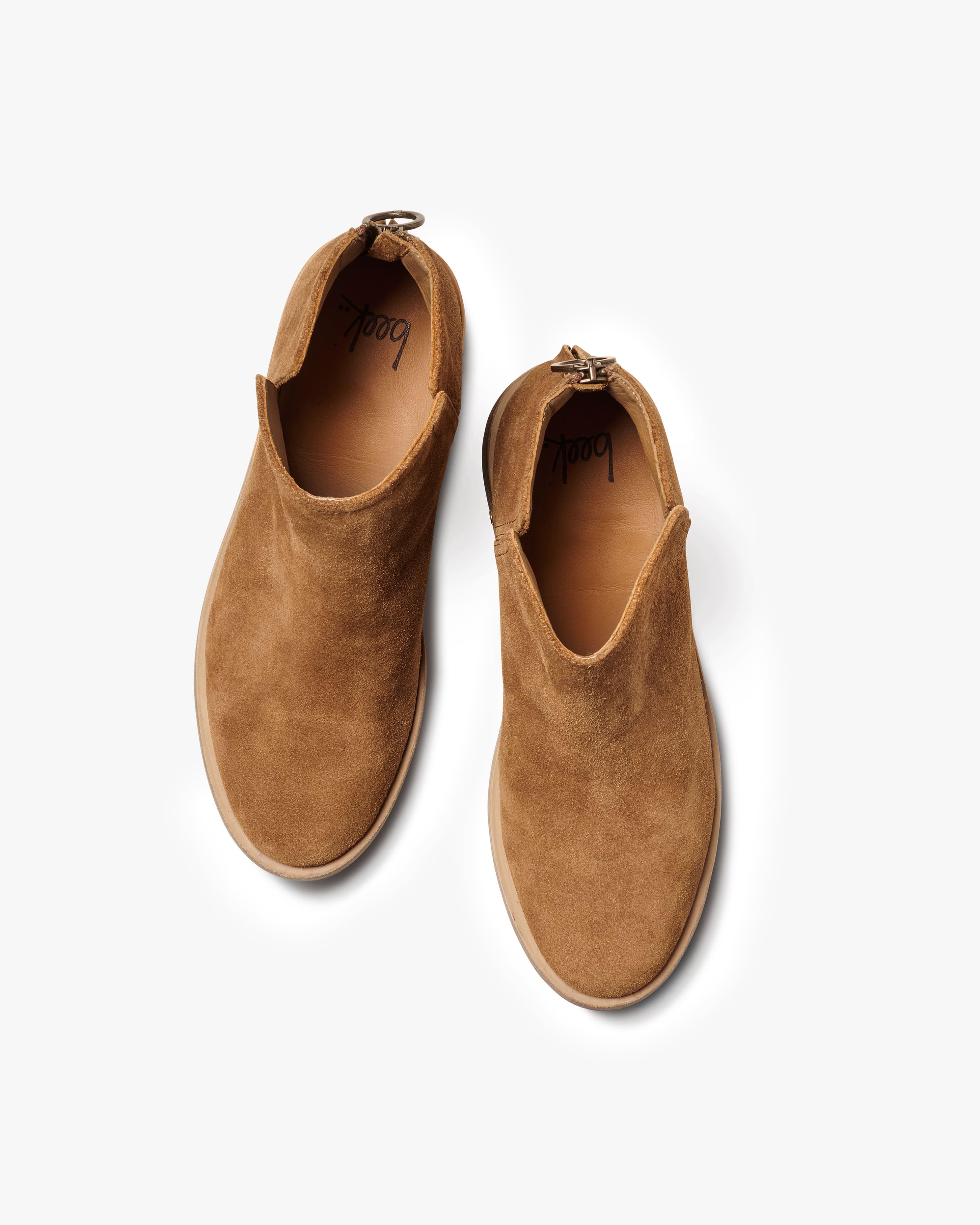 FALCON - Chestnut - Image 5