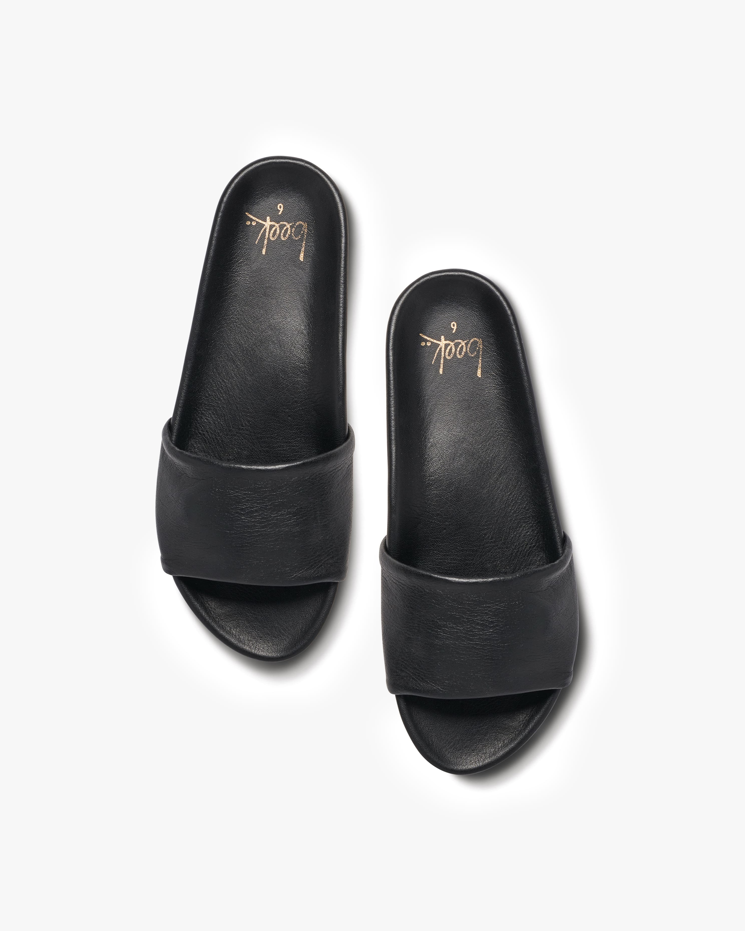 GALLITO - Black - Image 3