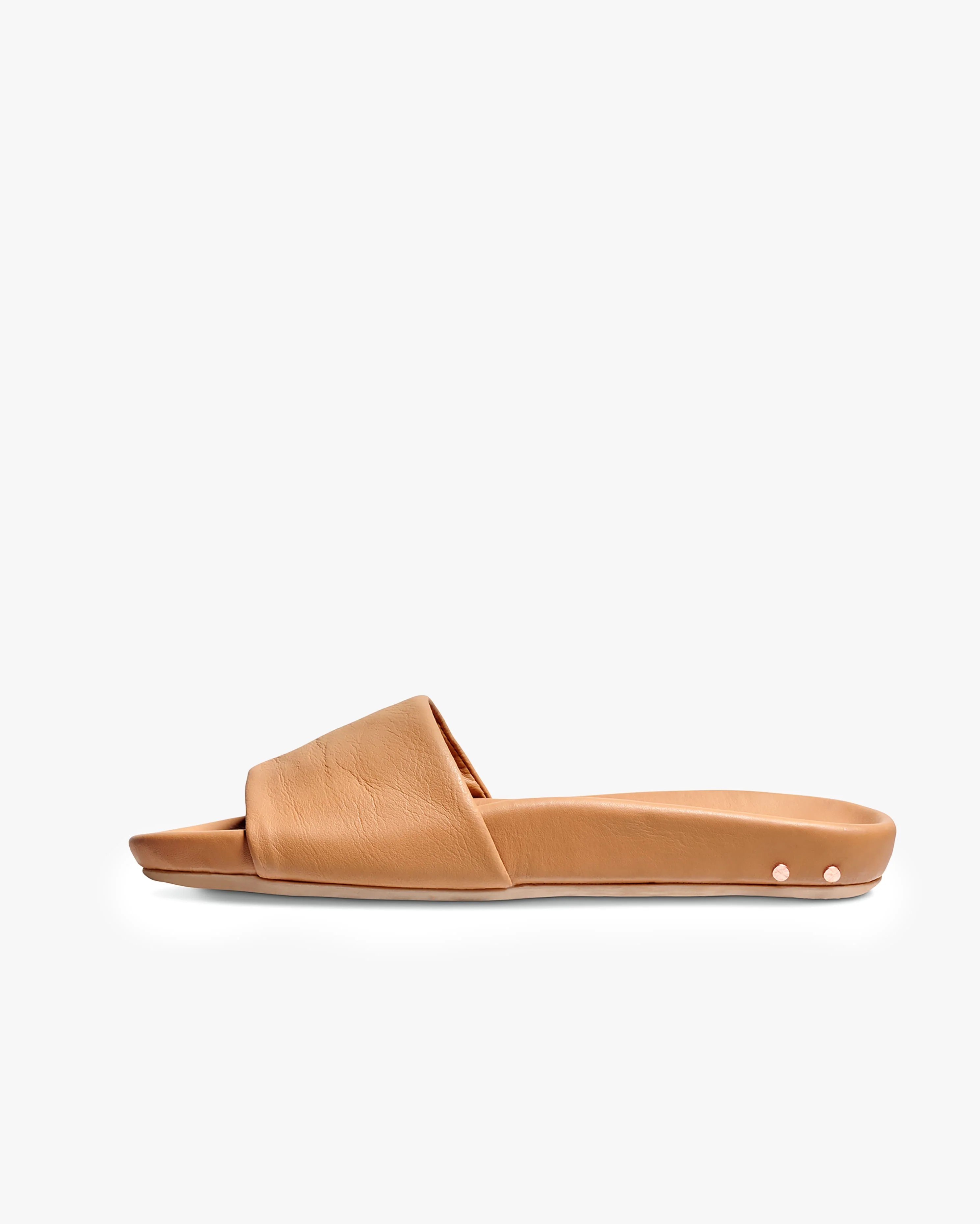 GALLITO - Honey - Image 3