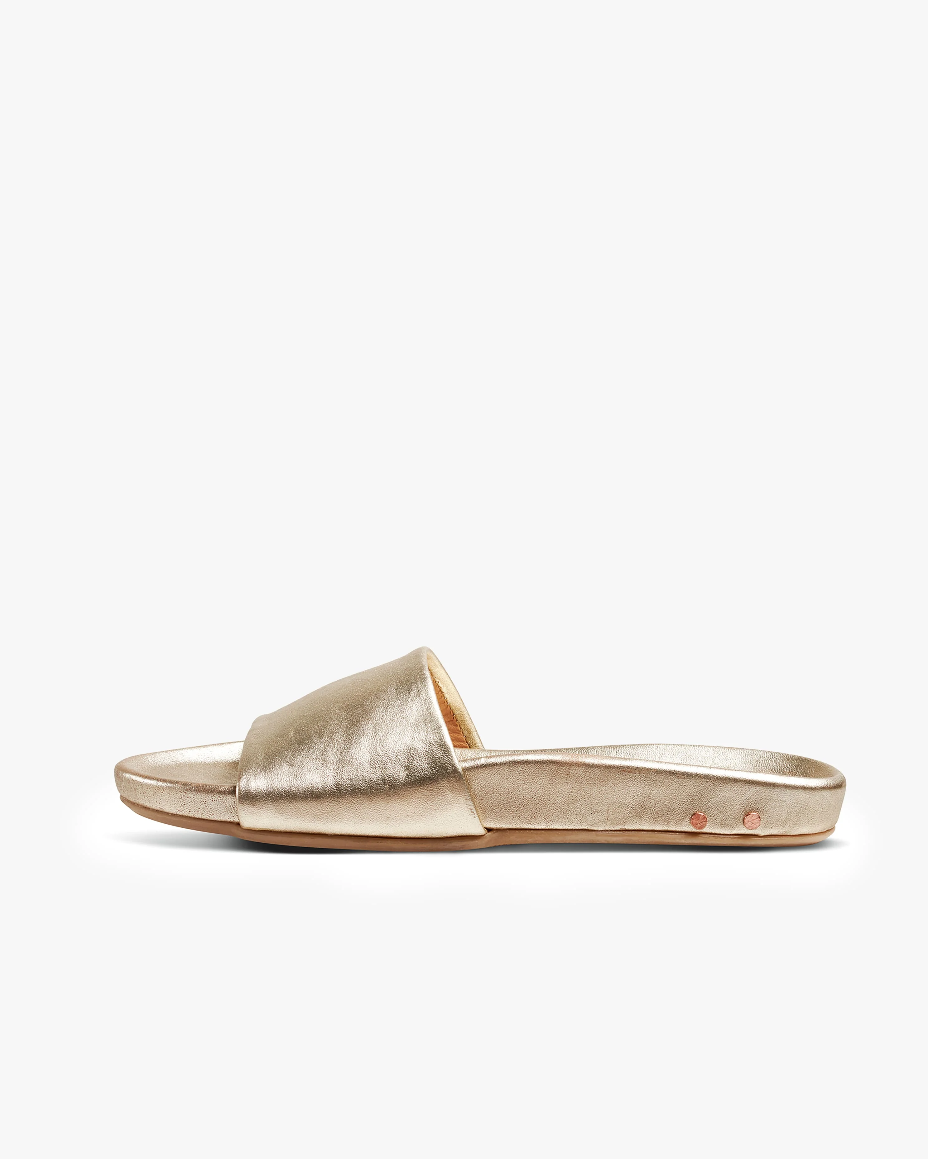 GALLITO - Platinum - Image 3
