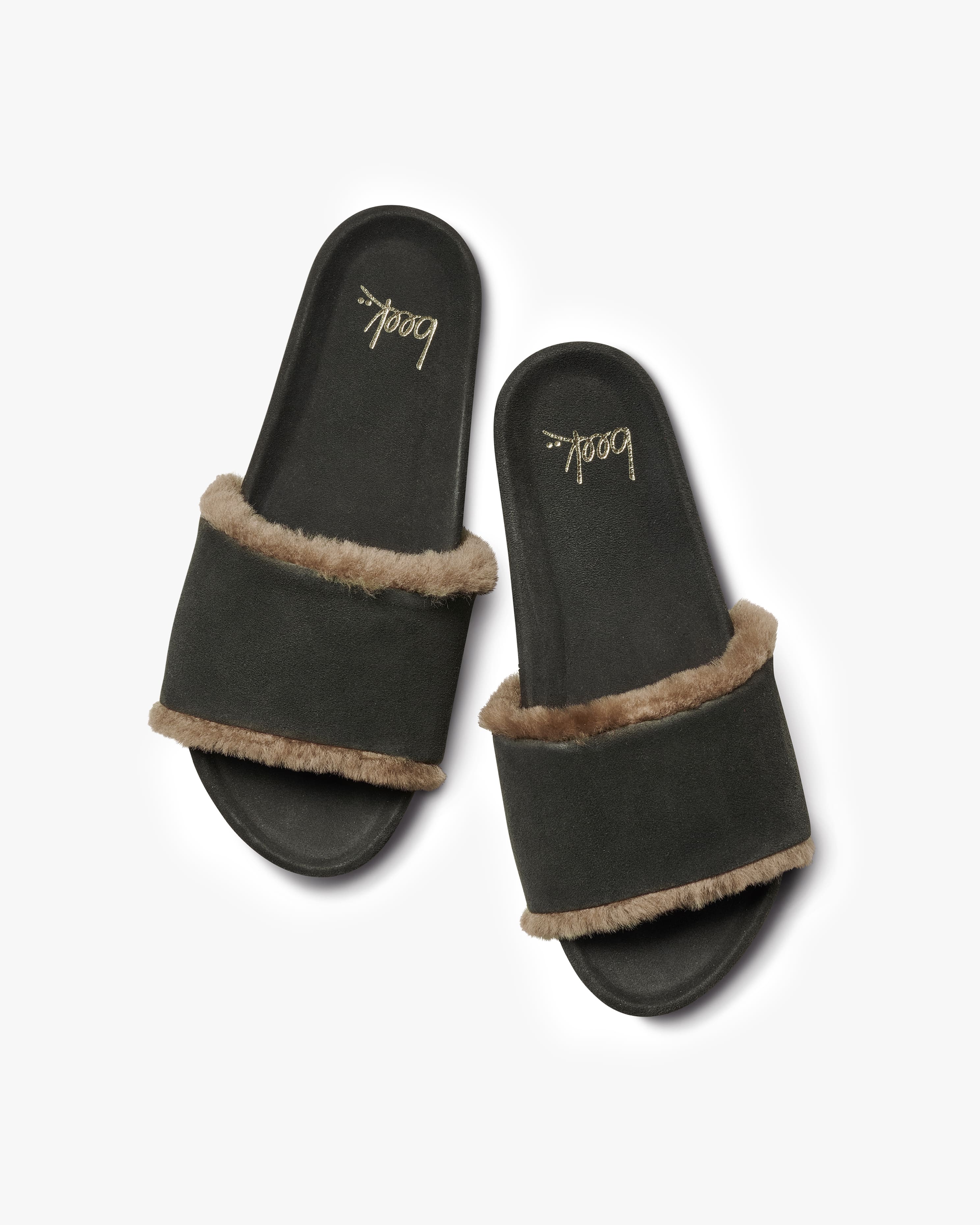 GALLITO SHEARLING - Ivy - Image 4
