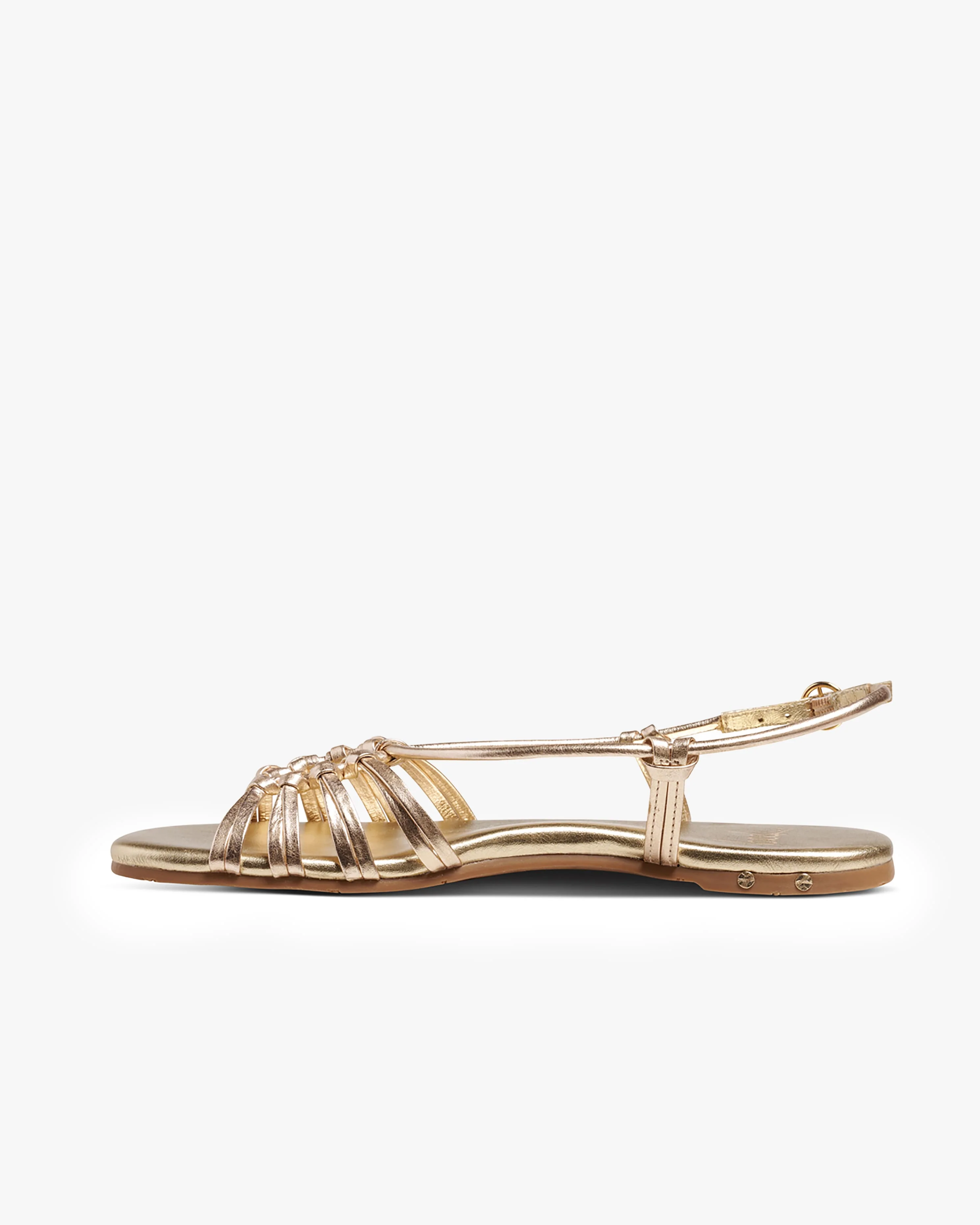LIVIA - Gold - Image 4