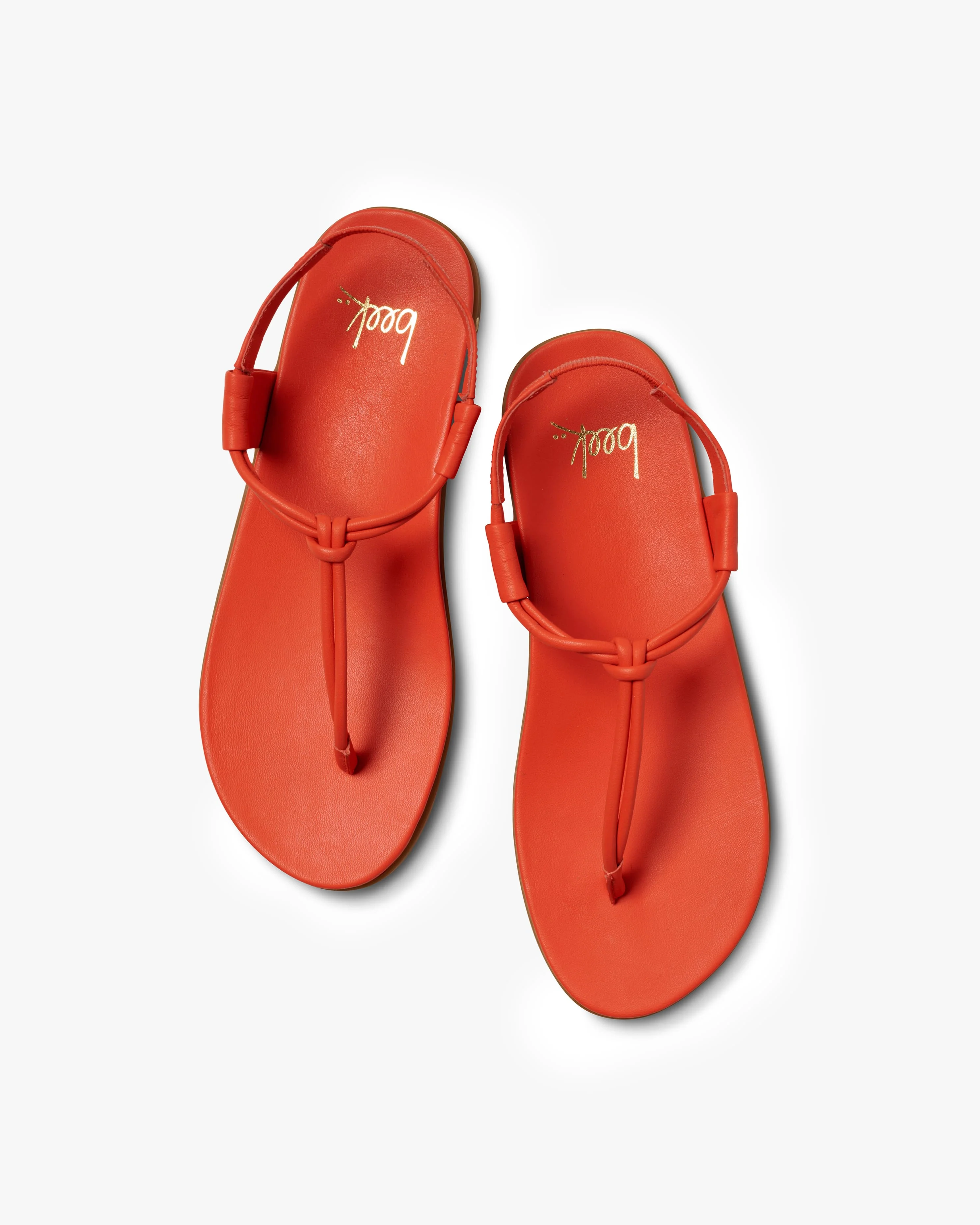 MANGO - Tomato - Image 4