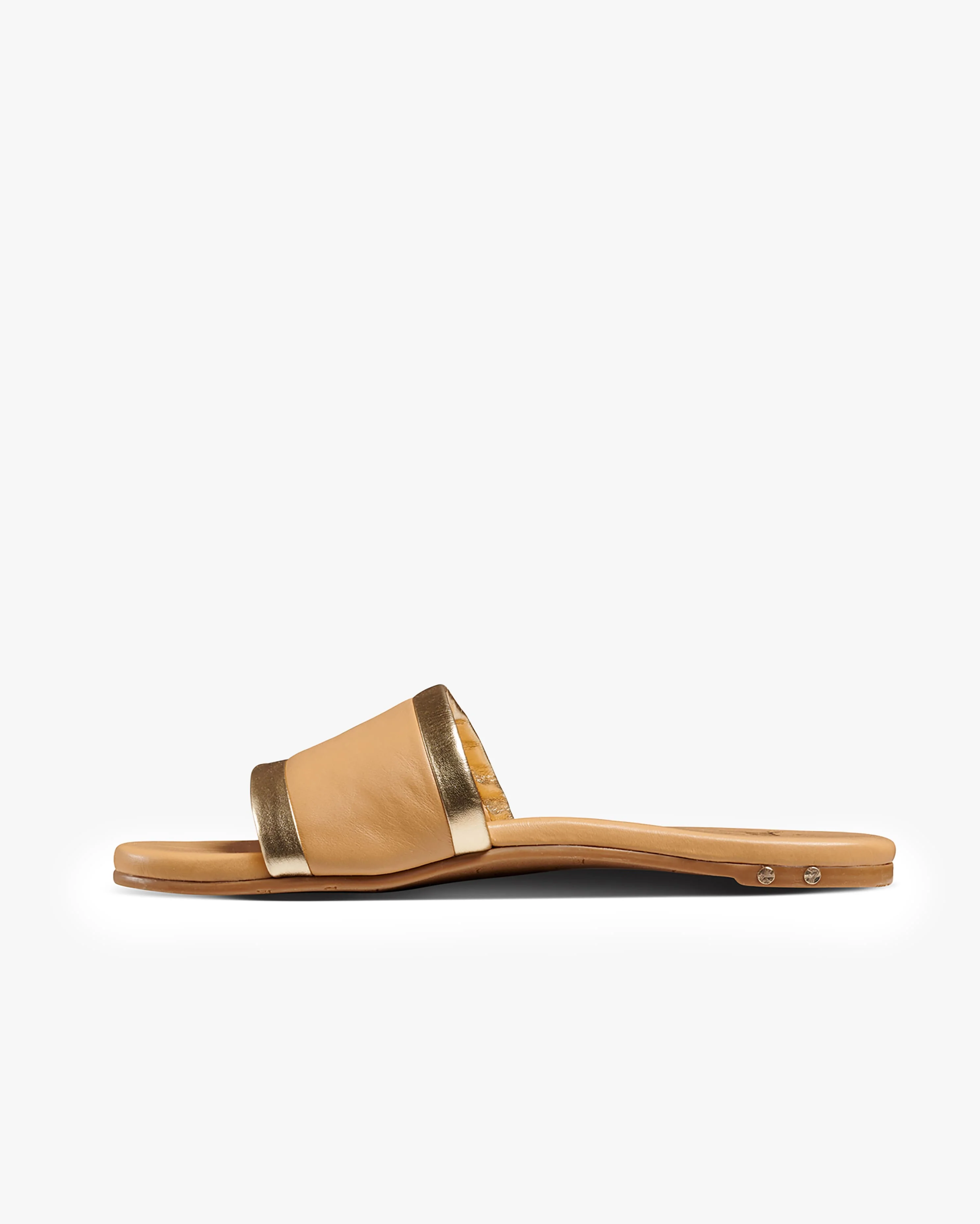 SHOREBIRD - Beach/Gold - Image 3