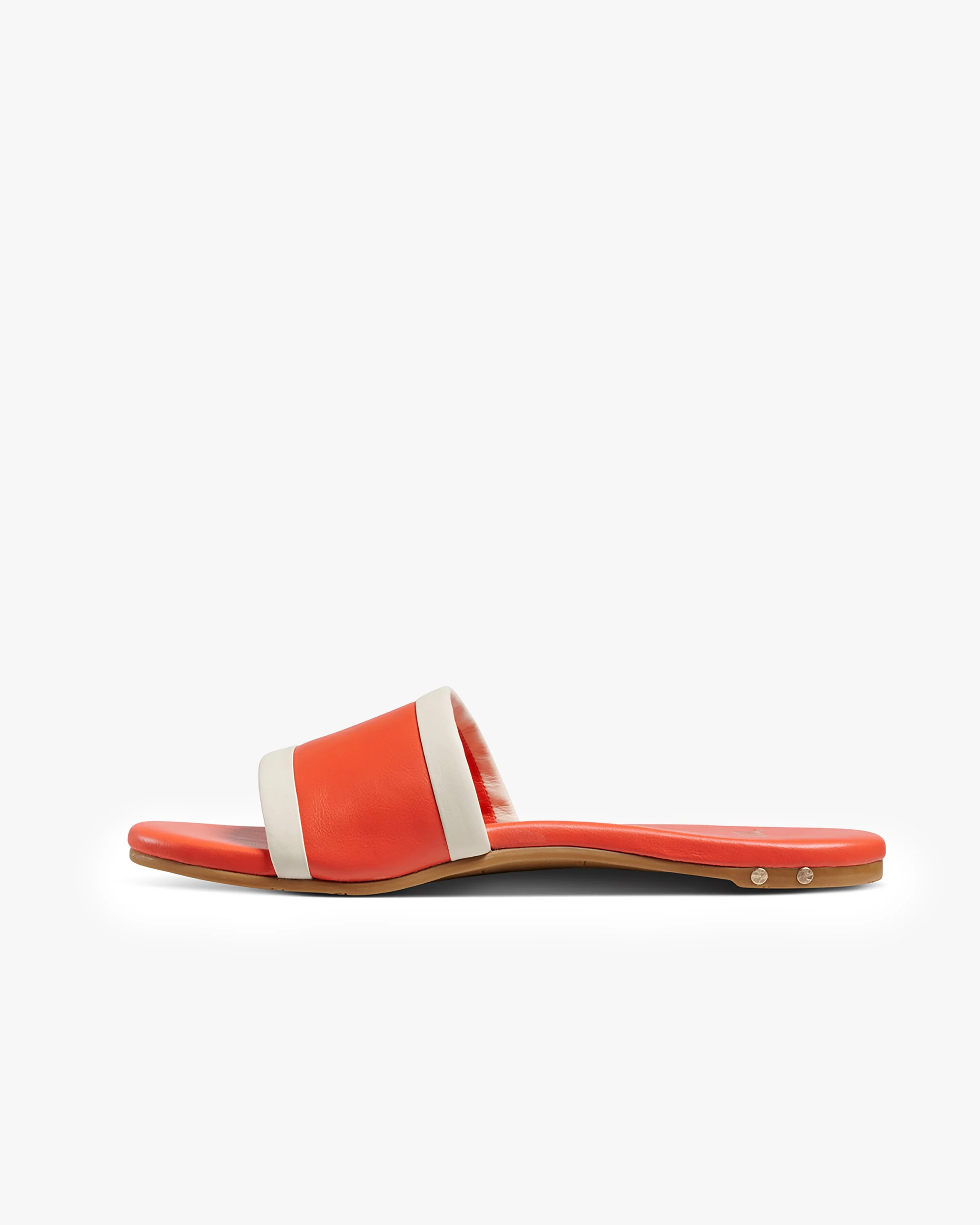 SHOREBIRD - Tomato/Vanilla - Image 3