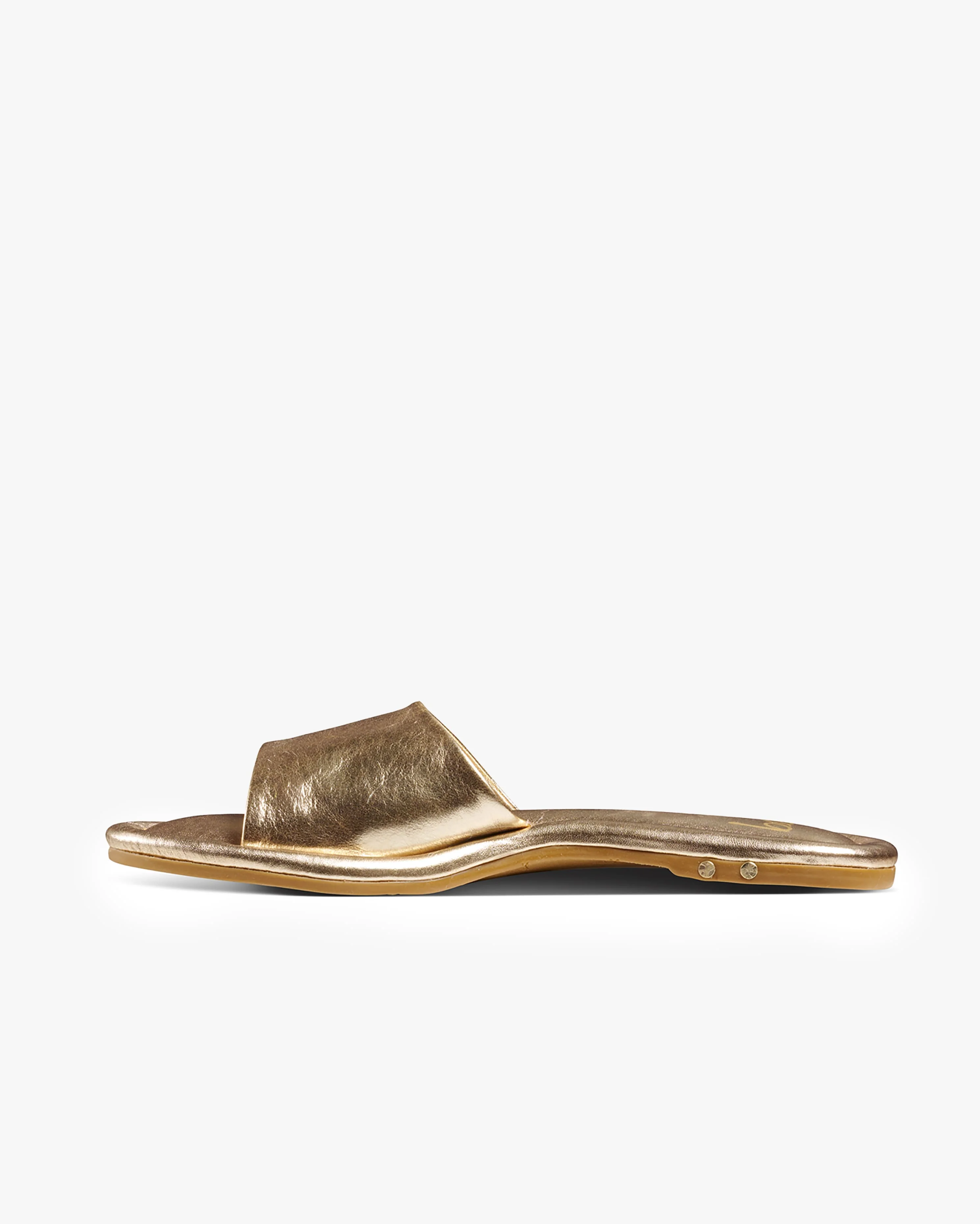 SONGLARK - Gold - Image 3