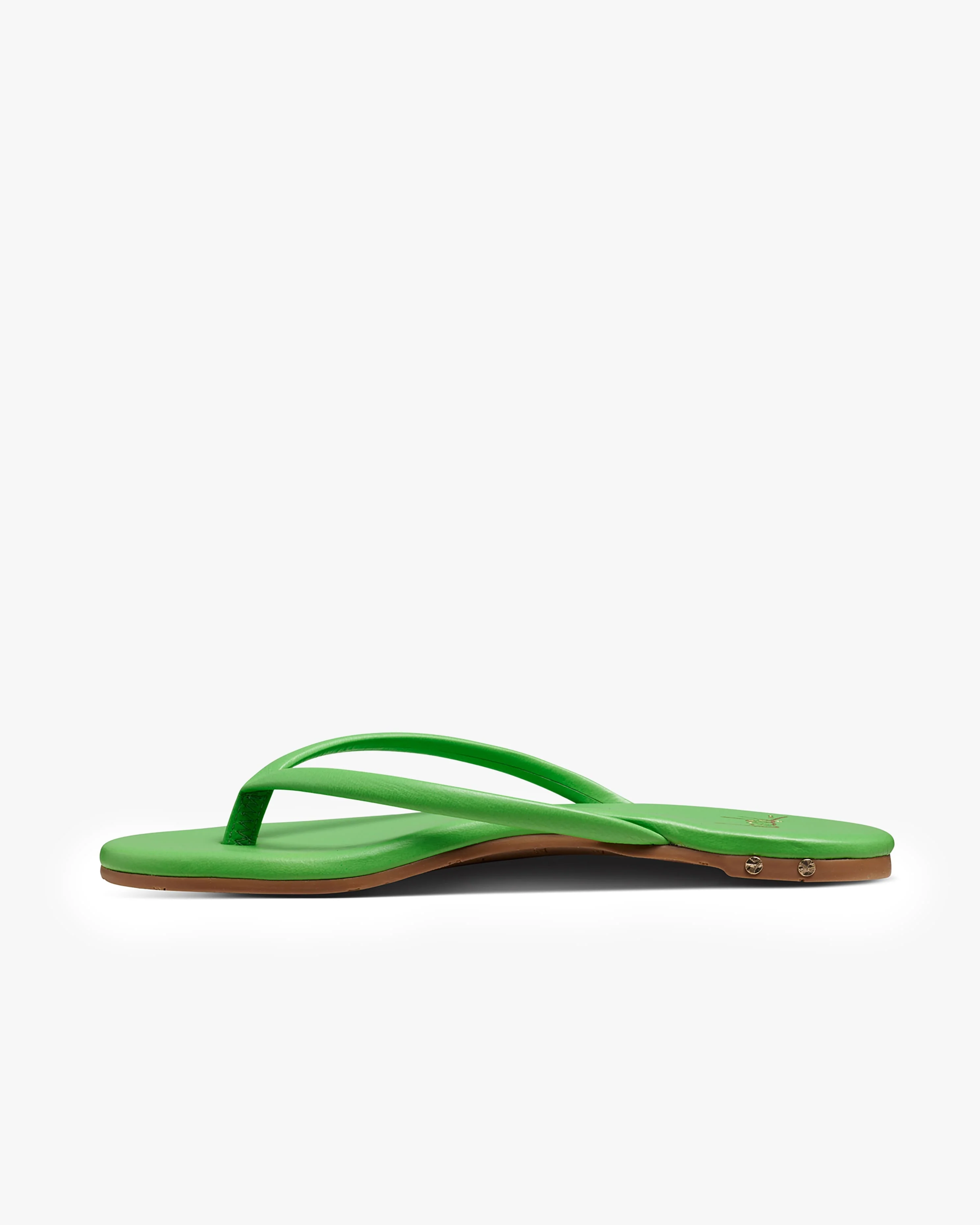 SUNBEAM - Palm - Image 4
