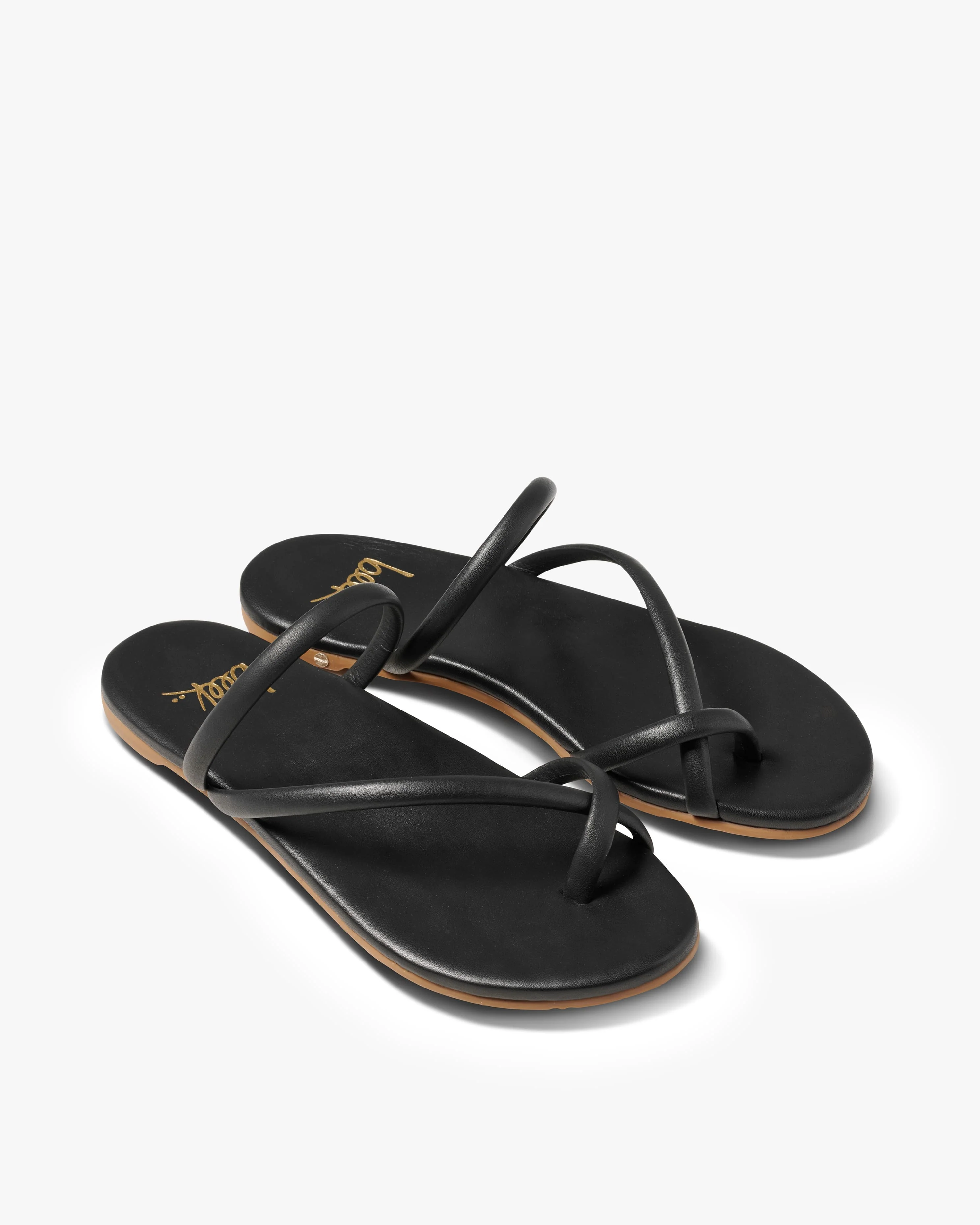 SUNBIRD - Black