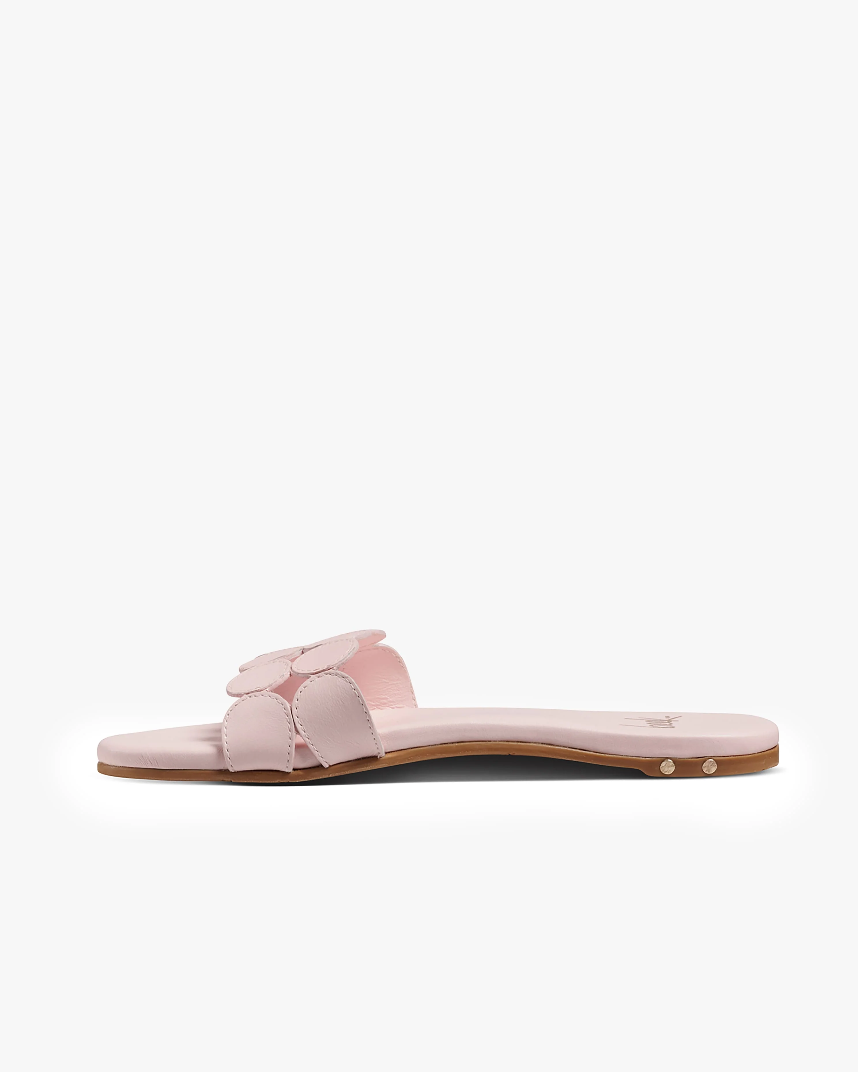 WHIRLYBIRD - Blossom - Image 3